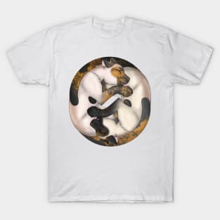 Yin-Yang Cats: Tortie Point T-Shirt